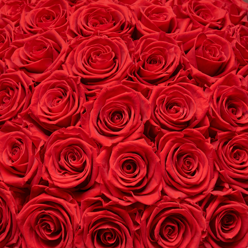 Rose Box