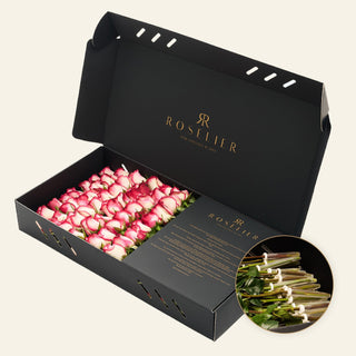 Large Soft Blush - "Blush"