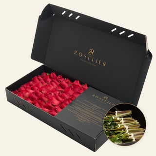 Medium Red - "Valentara"