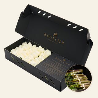 Small White - "Verena"