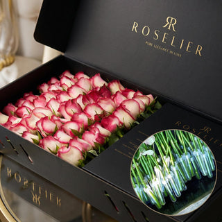 Blush - Classic Box