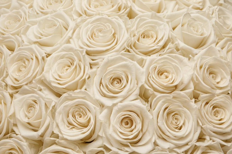 Bouquet di Rose