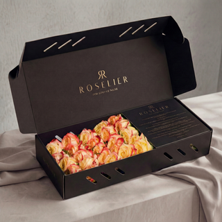 Apriko – Petite Box