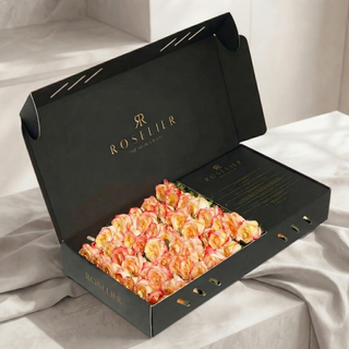 Apriko – Classic Box
