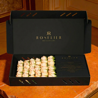 Pearl - Classic Box