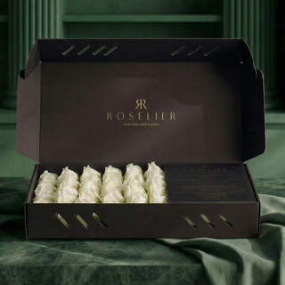 Arya – Petite Box