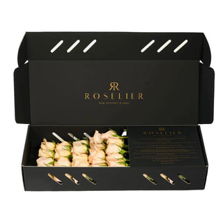 Pearl - Petite Box
