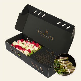 Small Colorate - "Bloomy"