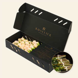 Small Creme - "Satin"