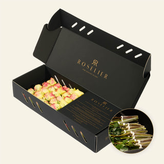 Small Lime Blush - "Verde"