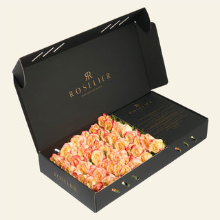 Medium Apriko - "Sunset"