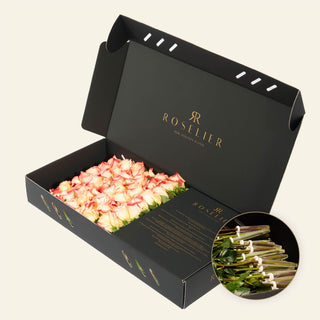 Medium Apriko - "Sunset"