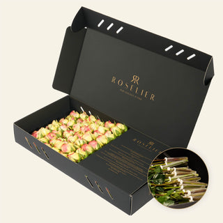 Medium Lime Blush - "Mint"