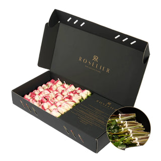 Sweetness - Classic Box